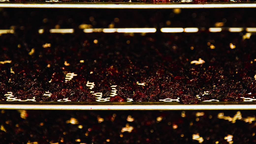 Suszenie owoców i warzyw Stardust Products Sp. z o.o.